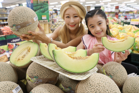 이마트가 13일부터 전 점에서 국내산 머스크 메론을 4980원에 할인 판매한다. 이번에 선보이는 머스크 메론은 수분 함량이 많고 식감이 부드러워 남녀노소에게 인기있다. 12일 이마트 용산점에서 모델들이  머스크 메론을 선보이고 있다. <이마트 제공>